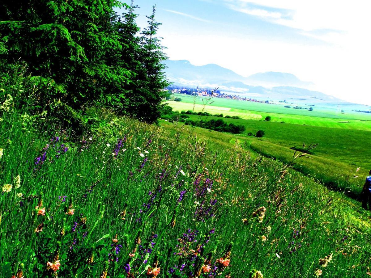 Villa Lypche Bešeňová Camera foto